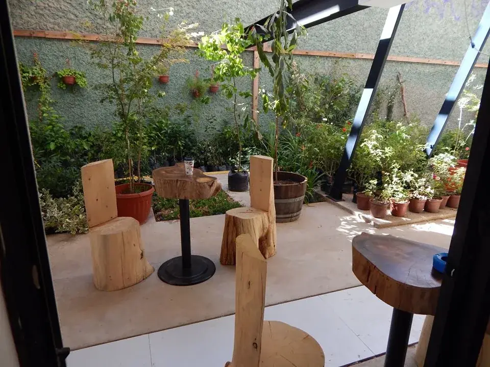Patio interior con sillas de tronco, mesas de madera y plantas en maceteros